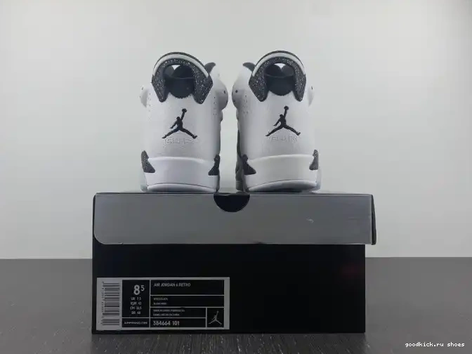 Retro 384664-101 6 Oreo Jordan 0610